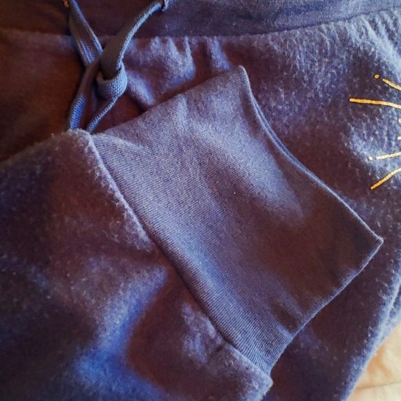 Wildfox Blue Sunshine Parker Sweatpants Size Large - Picture 5 of 6